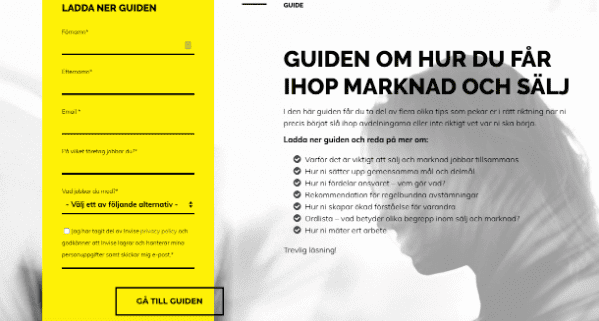 hubspot landningssida